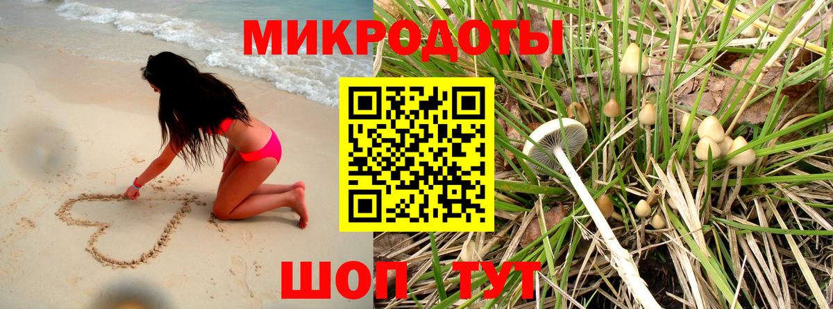 Энгельс  Галлюциногенные грибы Psilocybe  Вход с VPN 